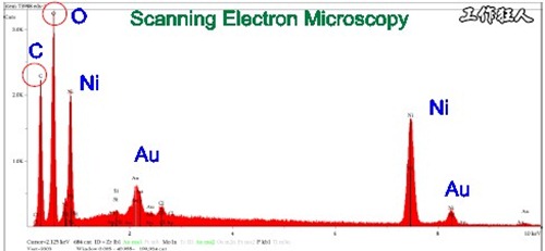 电路板沾污。Scanning Electron Microscopy